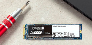 Kingston A1000
